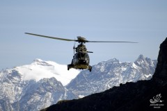 2006-axalp-11