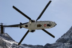 2006-axalp-12