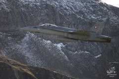 2006-axalp-18