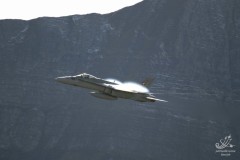 2006-axalp-20