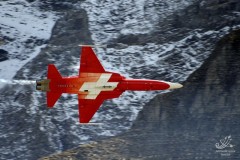 2006-axalp-23