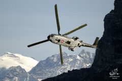 2006-axalp-9