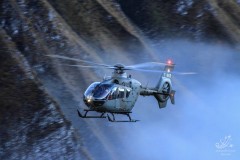 2013-axalp-1