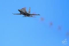 2013-axalp-2