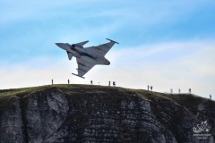 2013-axalp-8
