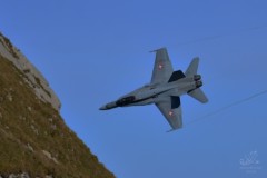 2016-axalp-19