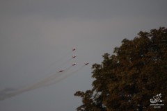 2010-frauenfeld-171