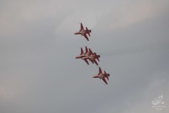 2010-frauenfeld-194