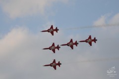 2010-frauenfeld-200