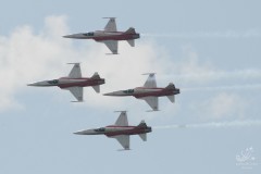 2010-frauenfeld-23
