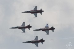 2010-frauenfeld-24