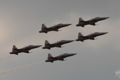 2010-frauenfeld-55