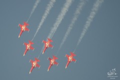 2010-frauenfeld-65