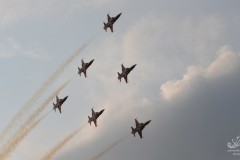 2010-frauenfeld-79