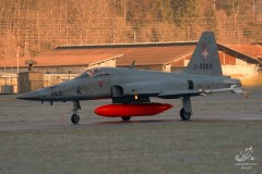 2008-meiringen-wef-19