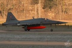 2008-meiringen-wef-22