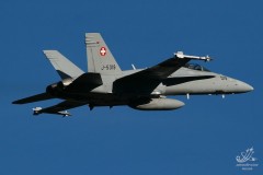 2008-meiringen-wef-39