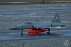 2008-meiringen-wef-48