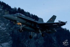 2008-meiringen-wef-6