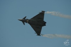 2010-rivolto-113