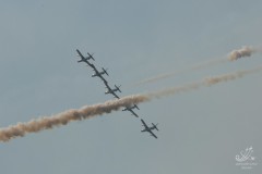 2010-rivolto-129
