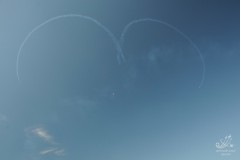 2010-rivolto-153