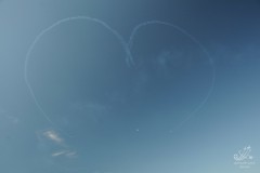 2010-rivolto-155