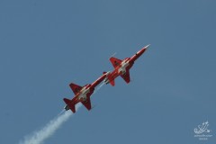2010-rivolto-160