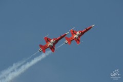 2010-rivolto-161