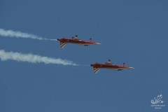 2010-rivolto-163