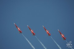 2010-rivolto-169
