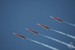 2010-rivolto-171