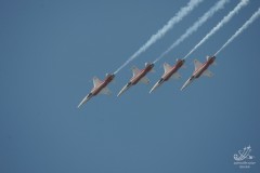 2010-rivolto-176