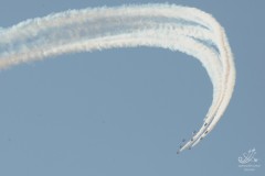2010-rivolto-205