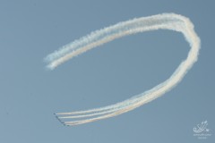 2010-rivolto-208