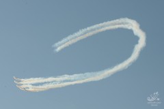 2010-rivolto-210
