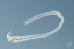 2010-rivolto-211
