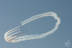 2010-rivolto-212