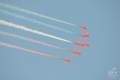 2010-rivolto-215