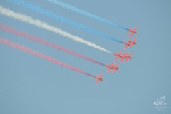 2010-rivolto-216