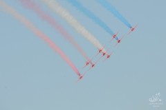 2010-rivolto-218