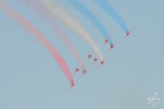 2010-rivolto-219