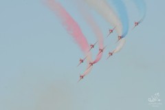 2010-rivolto-220