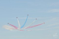 2010-rivolto-223
