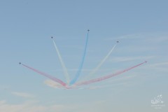 2010-rivolto-224