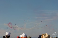 2010-rivolto-225