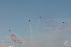 2010-rivolto-227