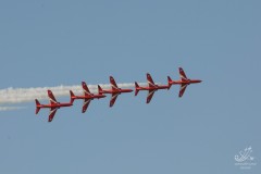 2010-rivolto-228