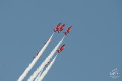 2010-rivolto-231