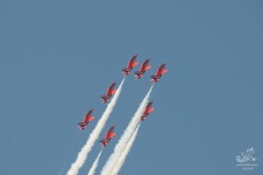 2010-rivolto-232